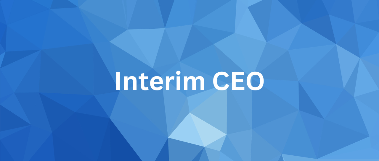 interim-ceo-interimleder