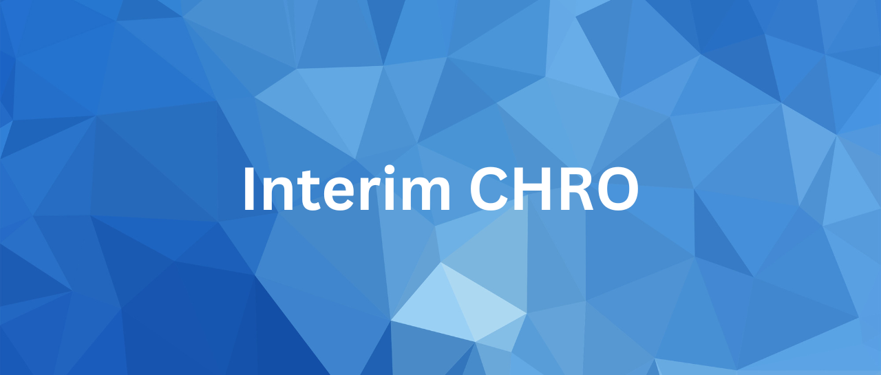 interim-chro-interimleder interim-chro-interimleder