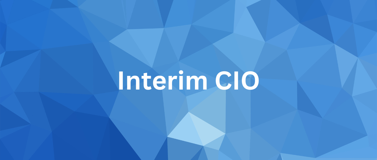 interim-cio-interimleder interim-cio-interimleder