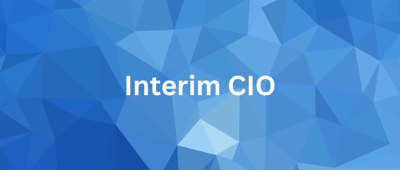 interim-cio-interimleder